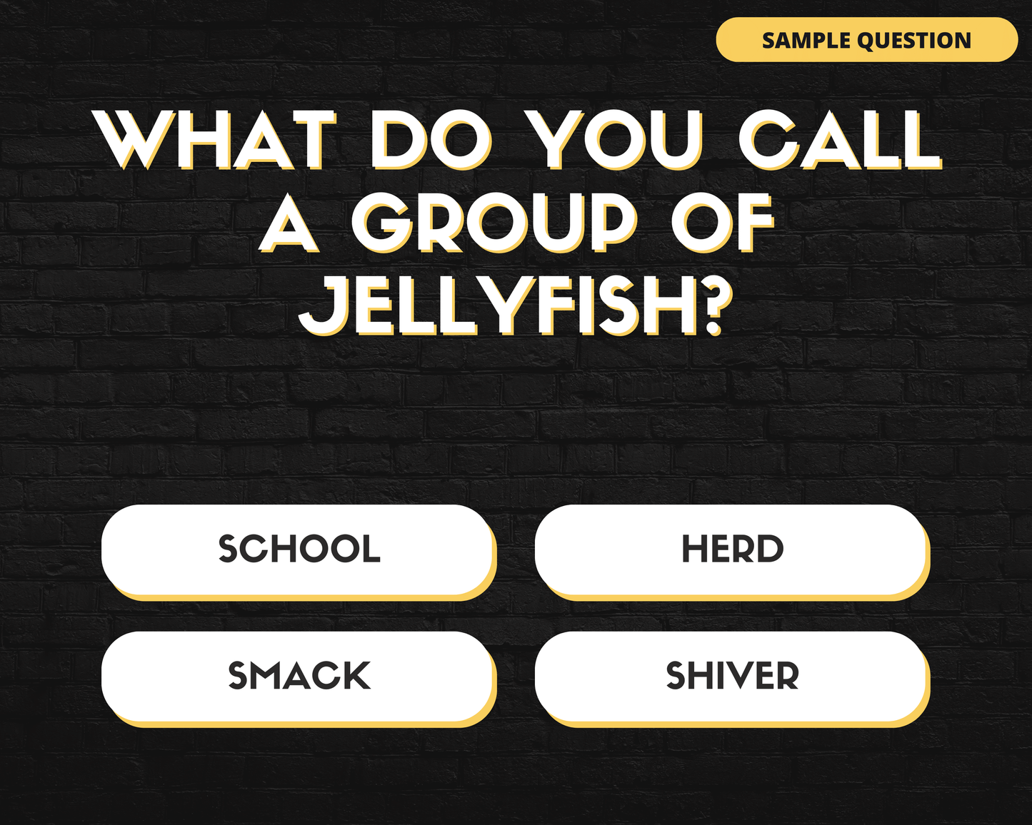 PUB TRIVIA DIGITAL GAME (VOL 3)