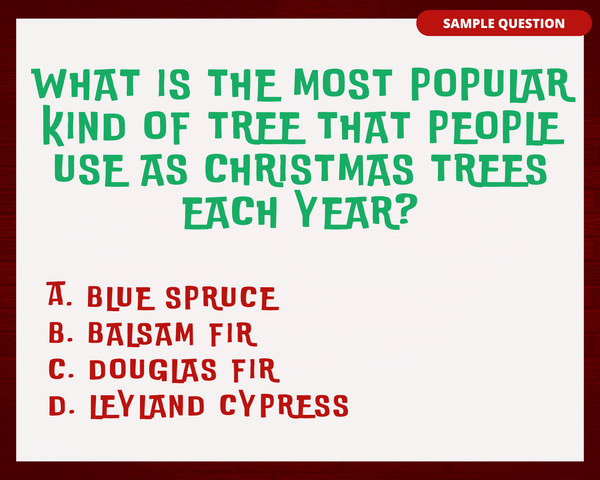 CHRISTMAS PUB TRIVIA PRINTABLE GAME