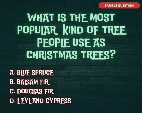 CHRISTMAS PUB TRIVIA DIGITAL GAME