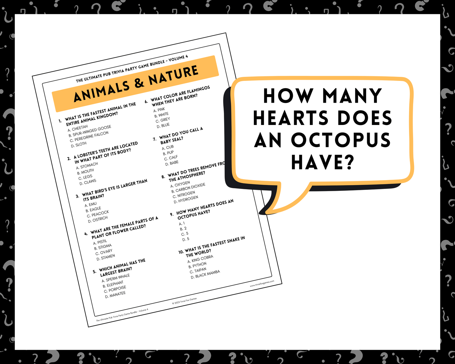 Pub Trivia Party Game Bundle (Volume 4)