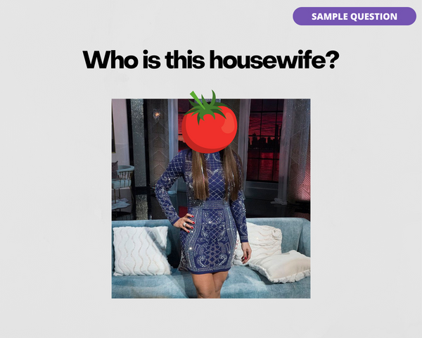 THE REAL HOUSEWIVES OF NEW JERSEY DIGITAL TRIVIA GAME