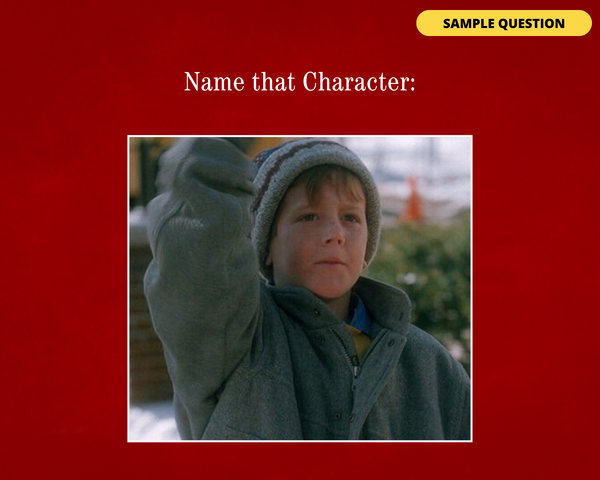 HOME ALONE DIGITAL TRIVIA GAME